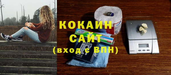 дмт Верея